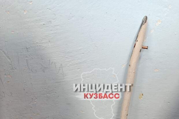 В Шерегеше девочи избила одноклассника, который отказался дать ей списать