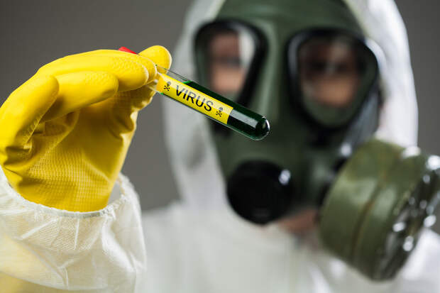 Иммунолог Крючков: вирус Нипах может передаваться между людьми через вещи