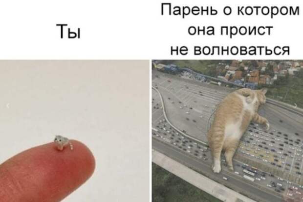 Мемы и приколы про 