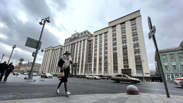Светлана Журова: «Новые законы должны поставить «заградительный барьер» на пути регистрации таких организаций в РФ»