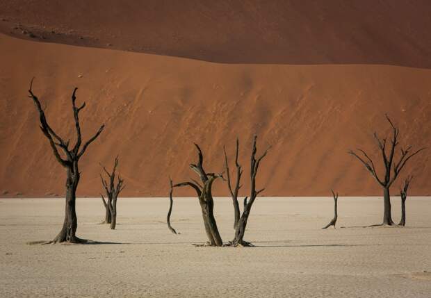 Африка. Намибия. Пустыня Намиб Соссусфлей Sossusvlei09 Африка. Намибия. Пустыня Намиб Соссусфлей