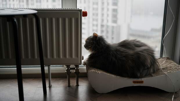 Как скрыть или обыграть радиаторы отопления: идеи для стильного интерьера