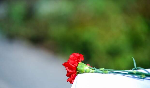 В Волгоградской области семьям погибших бойцов СВО вручили ордена Мужества