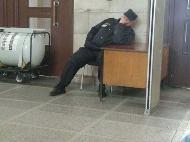 Хорошо им, а стыдно нам Хорошо им, а стыдно нам бесстыдники, подборка, стиль, стыд, юмор