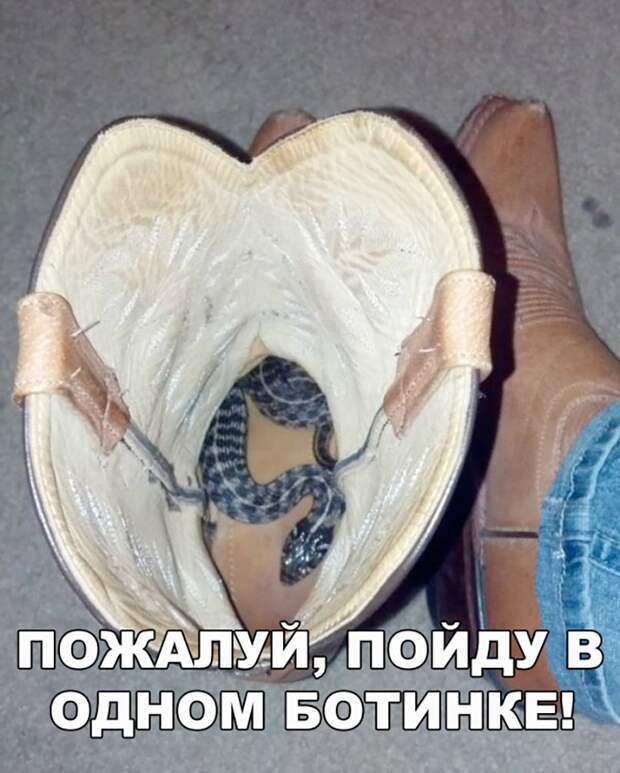 Подборка веселых и забавных картинок с надписью (10 фото) Подборка веселых и забавных картинок с надписью (10 фото)