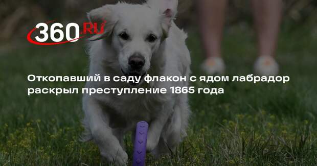 Откопавший в саду флакон с ядом лабрадор раскрыл преступление 1865 года