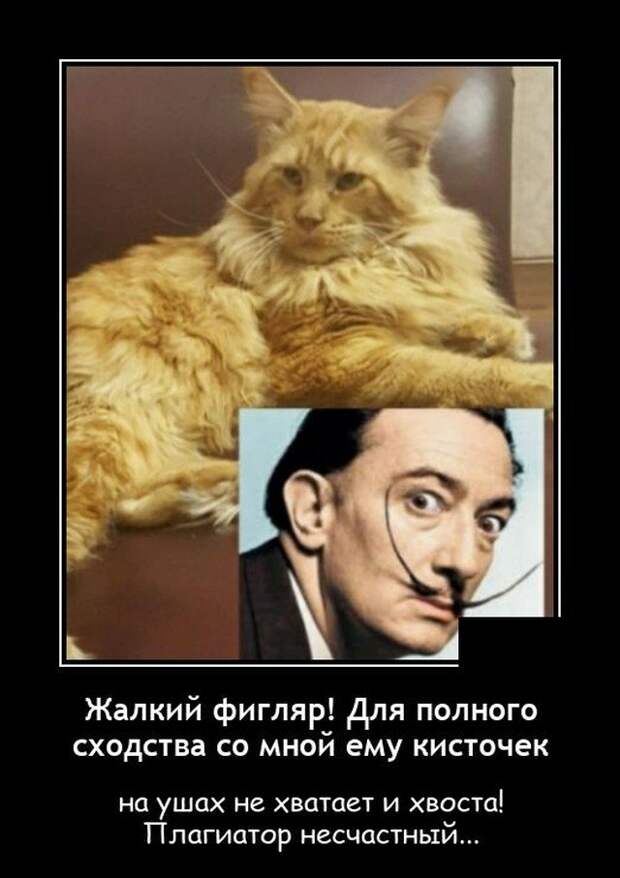 Демотиватор про сходство
