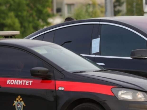 В Ульяновской области устанавливаются обстоятельства исчезновения двух подростков