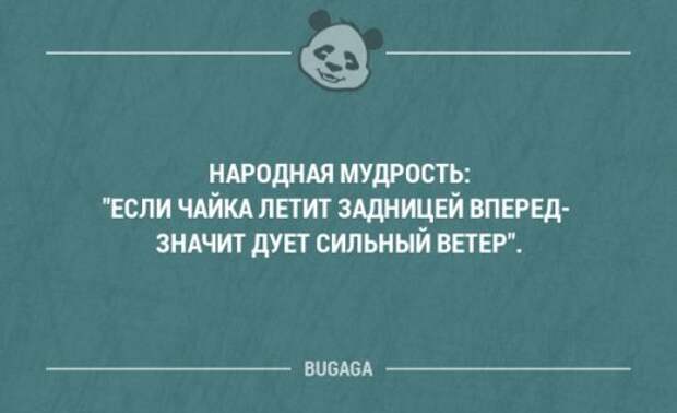 Смешные мысли и короткие анекдоты. Часть 69 (17 шт)