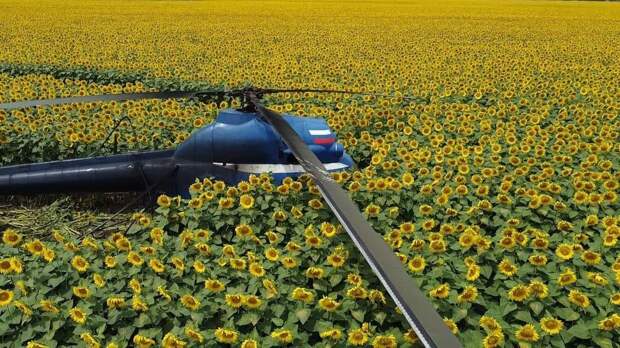 В Кабардино-Балкарии пилот уронил вертолет Ми-2 на поле и сбежал