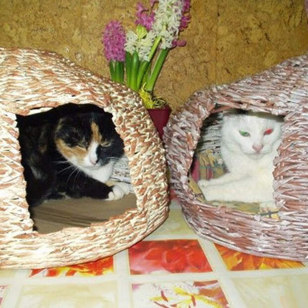 Плетение домика для кошек