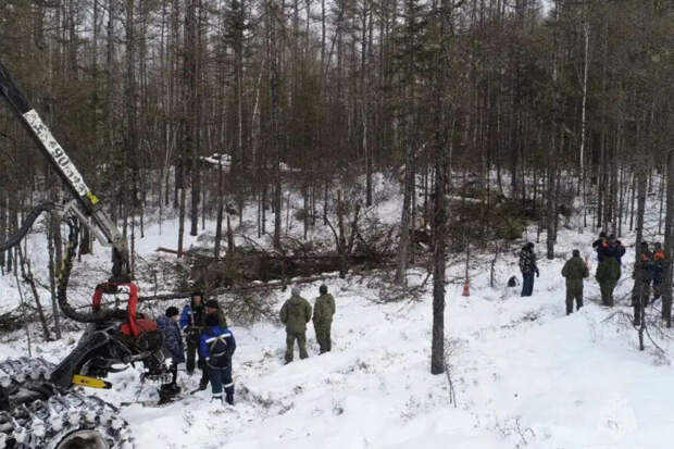 СК показал фото разбившегося в Амурской области вертолета