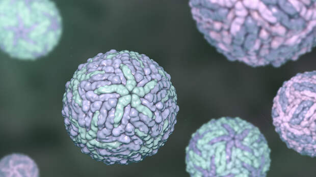 Биолог Обласова: клещевой энцефалит можно принять за ОРВИ