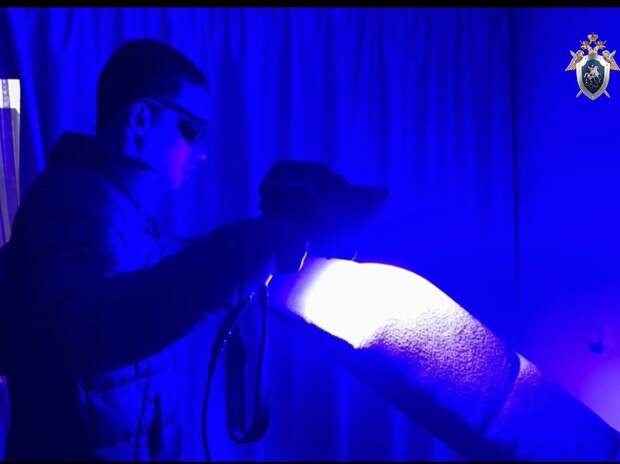 Тело маленькой девочки нашли в диване съемной квартиры в Челябинске