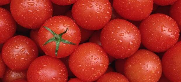 помидоры при похудении