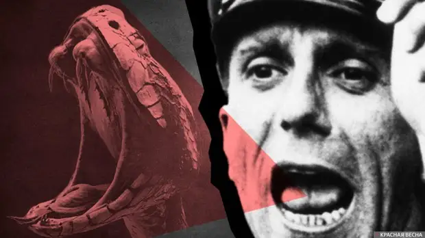 Аналитическое сообщество США стало жертвой собственной пропаганды. Мнение