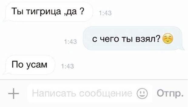 Убойные перлы в переписках Убойные перлы в переписках