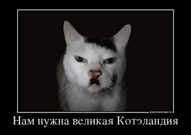 Демотиваторы заряжены позитивом...
