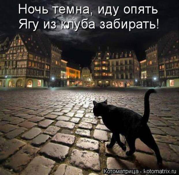 Котоматрицы(картинки с надписями)