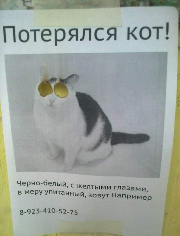 Надписи и объявления с просторов