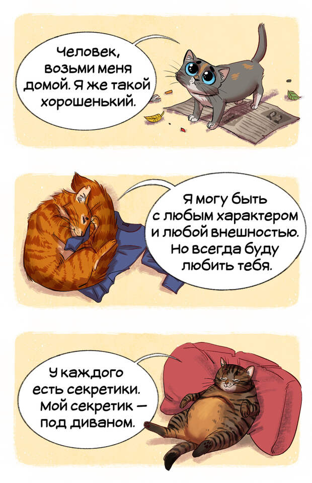 Гид по породам кошек, благодаря которому вы точно научитесь их различать
