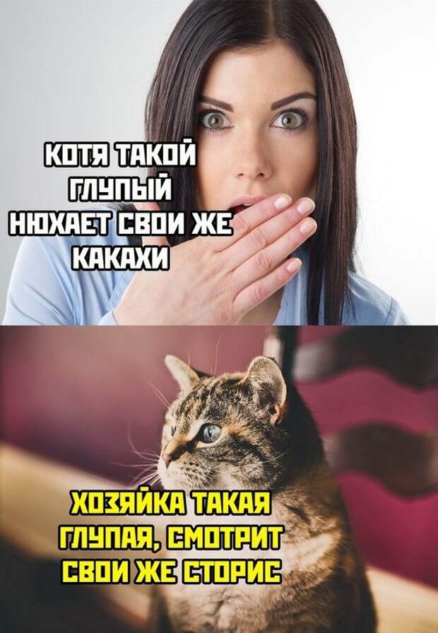 Весёлые