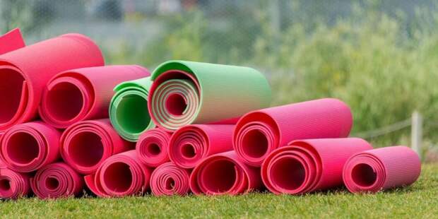 Сергунина рассказала о возобновлении программ спортивных НКО в Москве. Фото: mos.ru