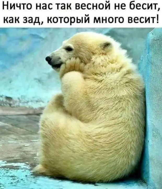 Жена говорит мужу: - Вот посмотри на наших новых соседей - молодую пару...