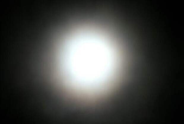 Вольф Мессинг: что смог и чего не смог предсказать главный пророк Советского Союза