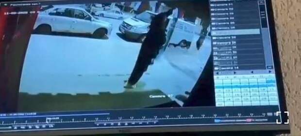 В Краснодаре зафиксировано умышленное уничтожение государственной символики