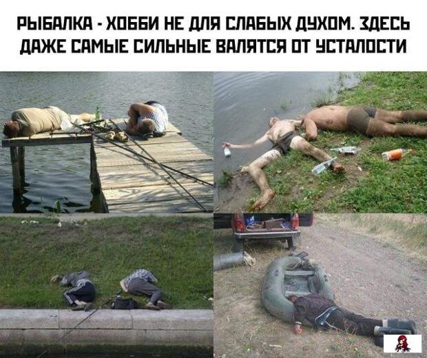 www.vsyako.net