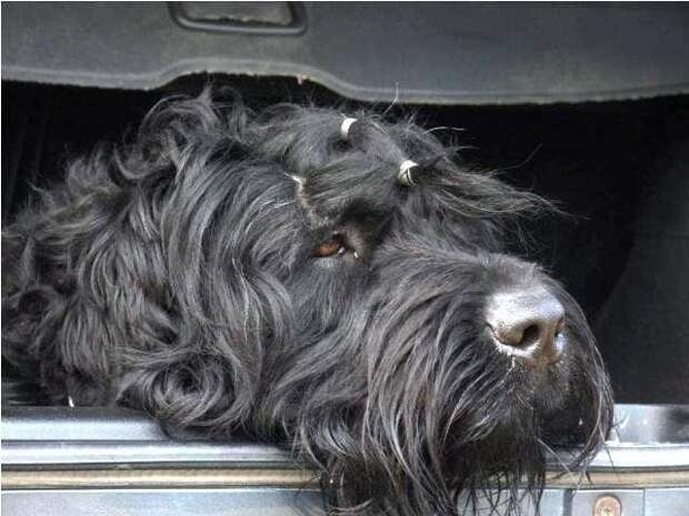 Разговаривать надо...