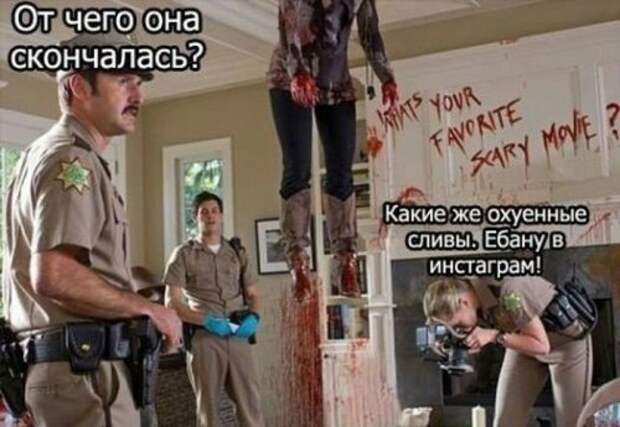 Хорошее настроение в прикольных фото и картинках (49 шт)