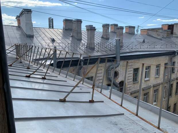 Полиция на «живца» поймала организатора нелегальных экскурсий по крышам в Петербурге