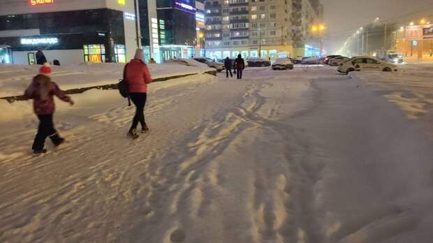 Депутат Ананов назвал традиционной проблему с уборкой снега в Петербурге