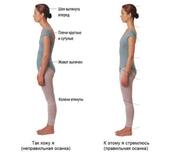 Упражнение «Кисточка»: красивая <a href='https://econet.ru/articles/tagged?tag=%D1%88%D0%B5%D1%8F' target='_blank'>шея</a>, идеальная <a href='https://econet.ru/articles/tagged?tag=%D0%BE%D1%81%D0%B0%D0%BD%D0%BA%D0%B0' target='_blank'>осанка</a>!