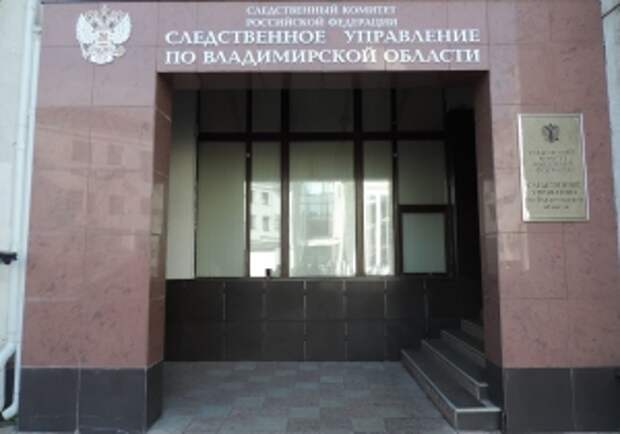 Председателю СК России представят доклад о ходе проверки, начатой после демонстрации ребенком в эфире федерального телеканала жеста о помощи