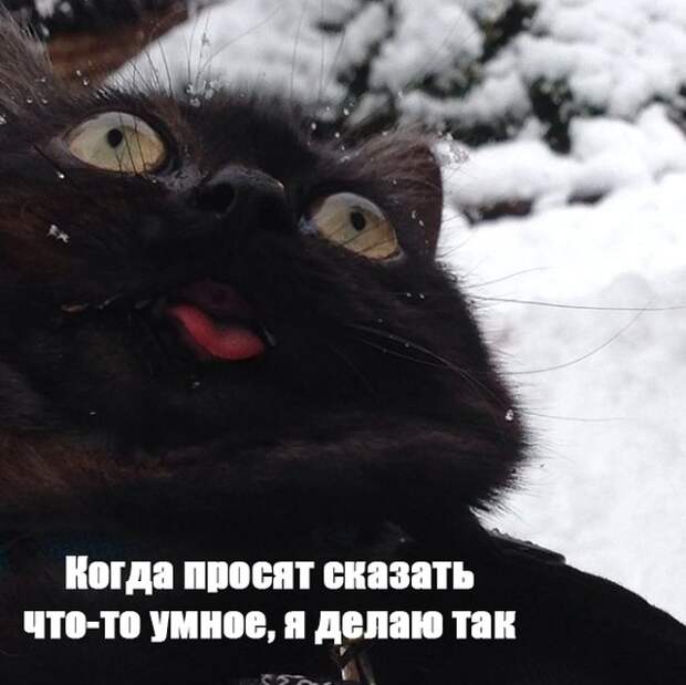www.vsyako.net