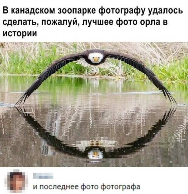 Скрины из социальных сетей