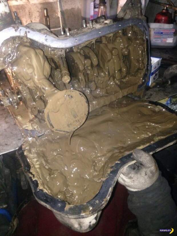 Подумаешь, масло менять! Подумаешь, масло менять!