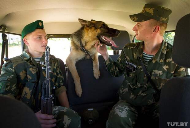 Кинологи