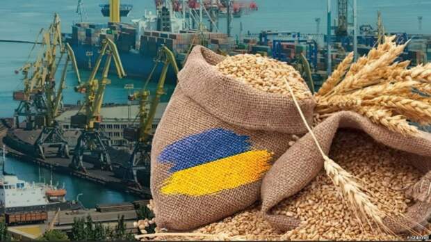 Украина остается потенциальным участником «зерновой сделки» до тех пор, пока ее зерно не будет...