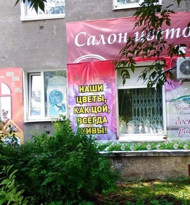 Когда каждый зарабатывает как умеет Когда каждый зарабатывает как умеет