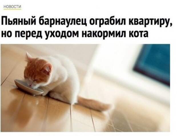 Прикольные фотомемы для всех (28 шт)