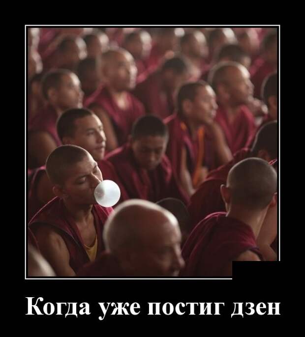 Демотиваторы (30 фото)