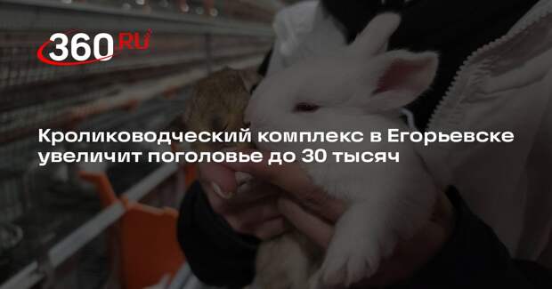 Кролиководческий комплекс в Егорьевске увеличит поголовье до 30 тысяч