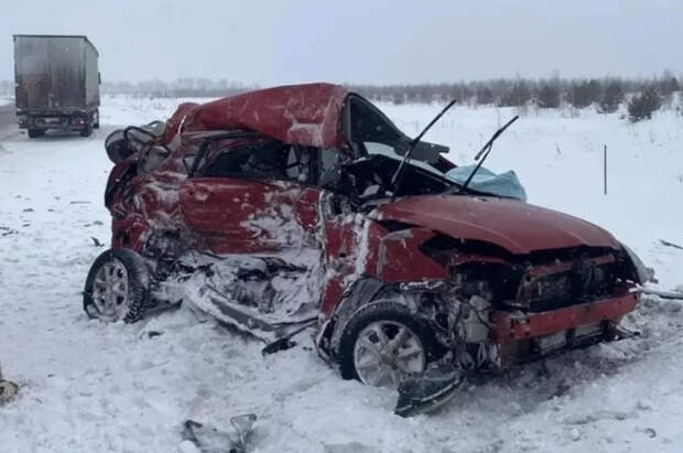 В Кузбассе выезд на встречку погубил 42-летнюю женщину, ее дочь и внучку