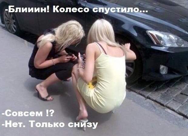 Смешные картинки с надписями прикол, юмор