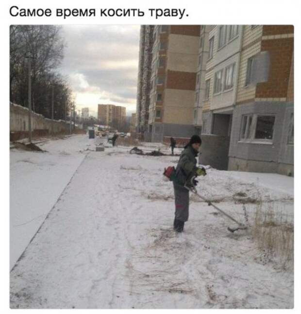 Свежие прикольные фотомемы (25 шт)