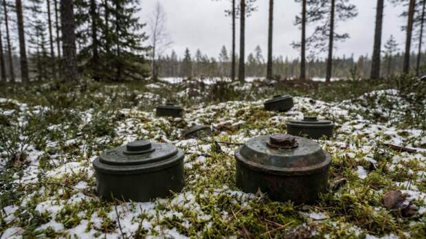 Финляндия официально вышла из Оттавской конвенции по противопехотным минам